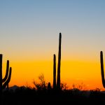Are you looking for things to do in Phoenix, Arizona? Arizona is so much more than heat and desert. Here is a list of fun things to do in Phoenix, Arizona