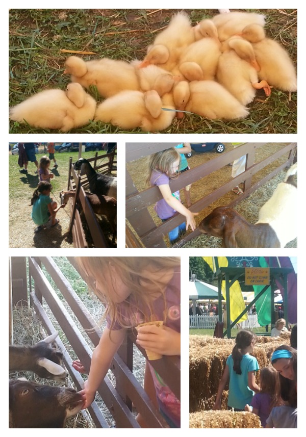 More hands on fun at the Kutztown Folk Festival