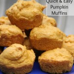 Quick and easy muffins
