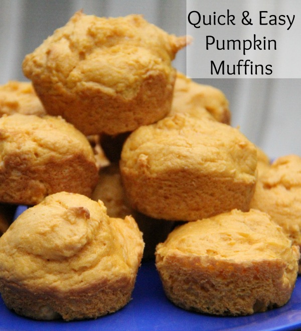 Quick and easy muffins