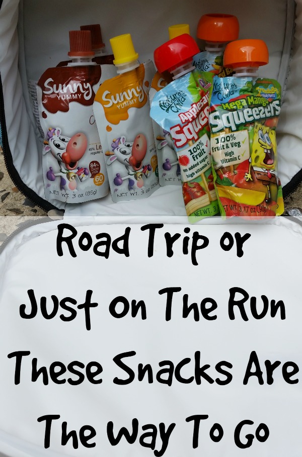 Perfect Road trip Snacks or Snacks on the go