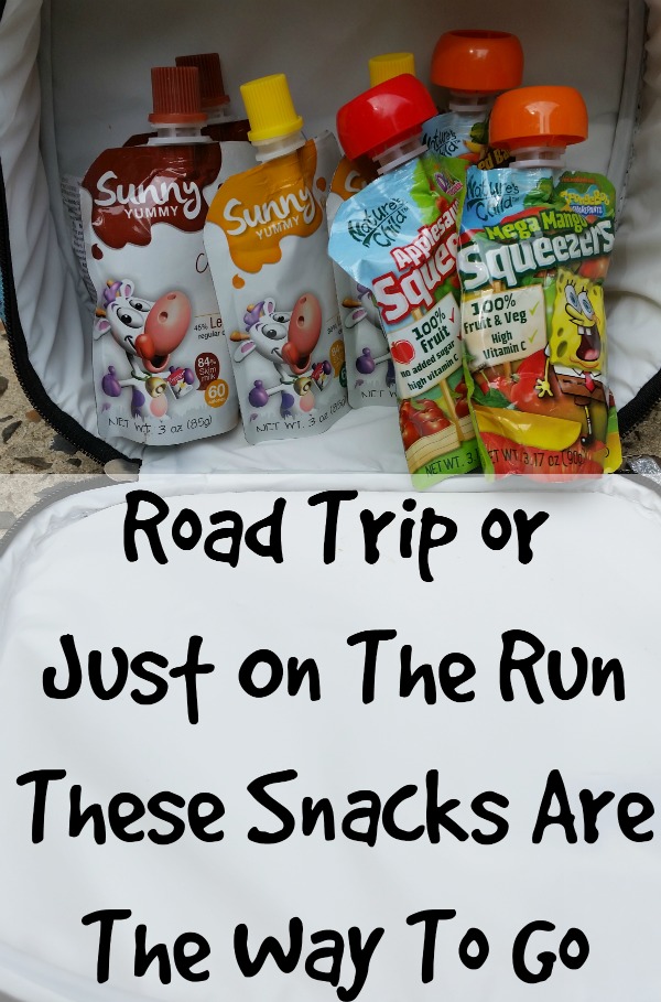 Easy Grab and Go Snacks- For Busy Families or a Road Trip - Eat Sleep ...