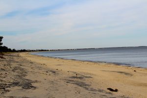 Slaughter Beach, in Delaware, is a quiet beach, that is known for the wildlife, including being a horseshoe crab sanctuary
