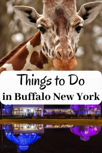 Looking for Things to do in Buffalo New York? Wait until you see this list of things to do. With so many choices, you will never have to wonder what there is to do.